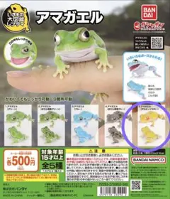 アマガエル カプセルトイ