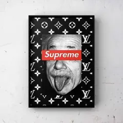 希少　Supreme シュプリーム　ポスター 極希少 非売品 supreme 2008 ポスター カーミット 特注フレーム