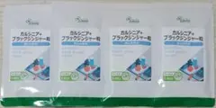 【半額超OFF】リプサ ガルシニア＋ブラックジンジャー粒 約4ヶ月分 サプリのサムネイル