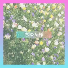 ちゆん様専用ページ♡サンプル可♡1/13