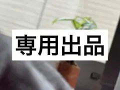 専用出品中のサムネイル