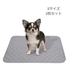 洗えるペットシーツ 2枚セット 小型犬 吸水 速乾 滑り止め付 50x35cm