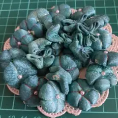 Item thumbnail for item d8b713df-c513-4bf7-ad7e-64e7cae94220