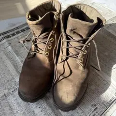 Item thumbnail for item 3f3d69f1-0634-40e8-8722-56335393728f