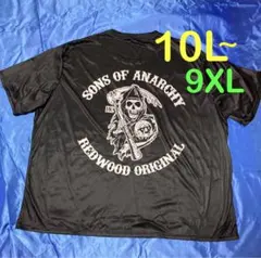 Item thumbnail for item b7e75369-1091-4afa-8cd0-a059c96b0139