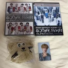 Stray Kids スキズ SKZOO ポラロイド トレカ スンミン パピム - メルカリ