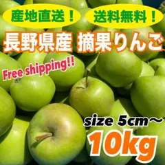 産地直送 長野県産 サンふじ 摘果りんご 10kg 加工用 ジャム táo 5のサムネイル