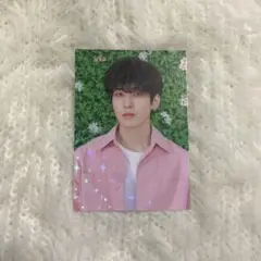 SEVENTEEN ウォヌ　HARU トレカ