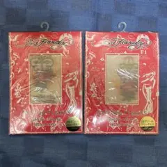 3189】TIGHTS 15デニール　フリーサイズ×２足セット