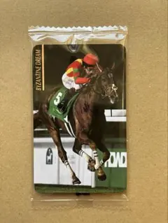 2668 ビザンチンドリーム まねき馬倶楽部　競馬　カード