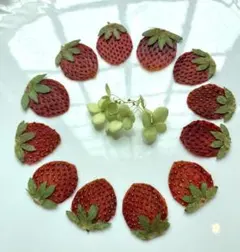 ★STAR★様 リクエスト 3点 まとめ商品