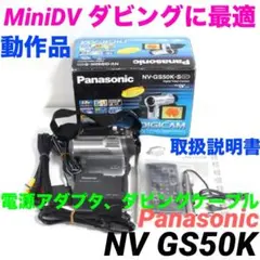 NV-GS5K 動作品 Panasonic MiniDVビデオカメラ 716 - メルカリ
