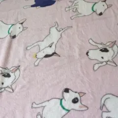 Item thumbnail for item 64049cc1-9af7-42c2-aad1-dfd3de90c99c