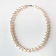 Item thumbnail for item 2ec70bb3-542c-4416-800e-dd34fc6d9fda