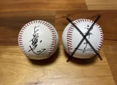 ヤクルト　古田敦也　印刷サインボール