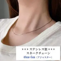 2本　ステンレス　ネックレスチェーン　スネークチェーン　45㎝　アジャスター