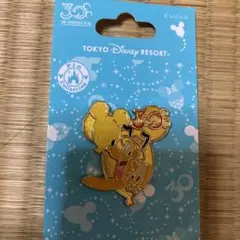 東京ディズニーリゾート 30周年 ピンバッジ - メルカリ