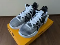 NIKE LEBRON WITNESS 6 EP DM1122-100　26.5のサムネイル