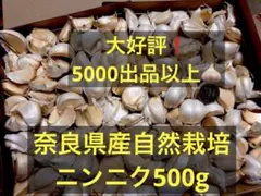 奈良県産自然栽培ニンニク500gのサムネイル