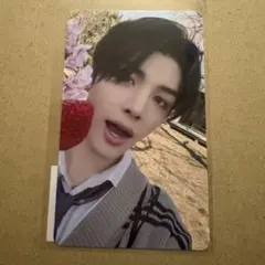 ＆team エンティーム　Go in Blind (月狼) ラキドロ　2枚セット