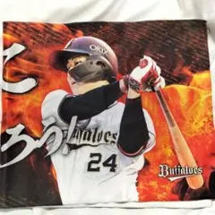 Item thumbnail for item a80cf712-d158-4c2c-8de3-a279d3e0bf93