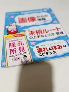 Item thumbnail for item b4d48210-9d0c-47d9-bb00-a718b0fa482f