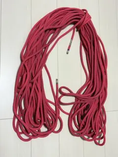 エーデルワイス ケブラーパワーロープ 5.5mm 60m - メルカリ