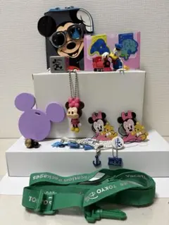 東京ディズニーランド ミッキー ミニー グッズセット
