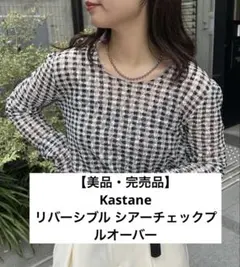 限定値下げ【美品完売品】Kastane リバーシブル シアーチェックプルオーバーのサムネイル