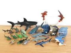 サメ フィギュア 3点セット SHARKS OF THE WORLD - メルカリ