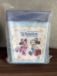 新品 未使用 バケーションパッケージ ポップコーンバケット ディズニー バケパ