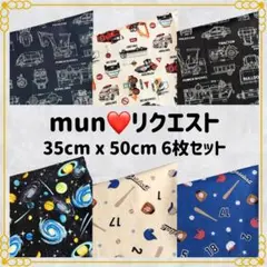 【mun❤様リクエスト】ランチョンマット 給食ナフキン 35×50 ６枚セット