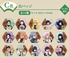 鬼滅の刃 追憶回廊ノ導 研鑽指導 缶バッジ 未開封2個 ミニゲーム