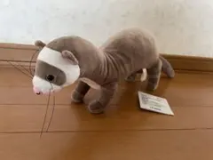 FANS フェレット　ぬいぐるみ　BIG