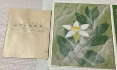 2026年最新】山内 一生 和紙の人気アイテム - メルカリ