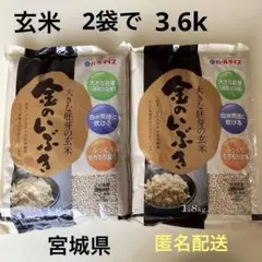 玄米　3.6k 金のいぶき　令和6年　宮城県　パールライス　GABA 食物繊維のサムネイル