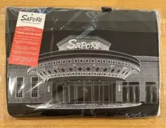 サポーレ SaPoRe 保冷エコバッグ レジカゴバッグのサムネイル