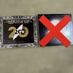 Bon Jovi CD 2枚セット