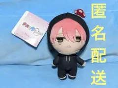 多聞くん今どっち ぷれちゃす 多聞教ぬいぐるみ 福原多聞 ジメ原ver