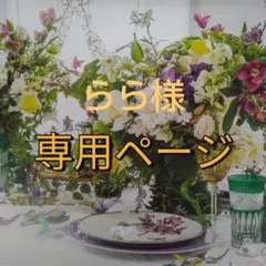 らら様　専用/2