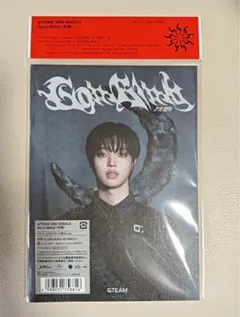 &TEAM 月狼 ソロジャケ CD アルバム ウィジュ EJ