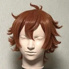 ツイステッドワンダーランド エース・トラッポラ コスプレ ウィッグ D