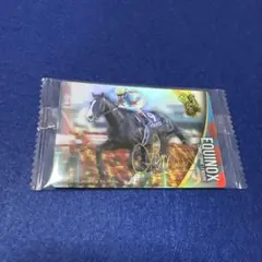 サラブレッドホースコレクション 第3R イクイノックス　サイン入り