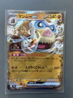 マンムー L3 ed1&マンムー lv58 アンリミ セットL3 PSA10 2026年最新】マンムーの人気アイテム - メルカリ