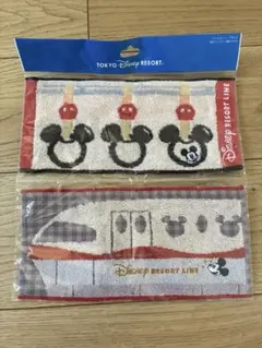 ディズニー・リゾートライン ミニタオル 2枚セット　新品