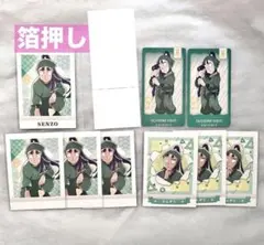 忍たま乱太郎 チケコレ ぱしゃこれ 第4弾 箔押し 立花仙蔵 10点セット