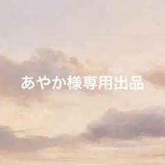 あやか様専用出品