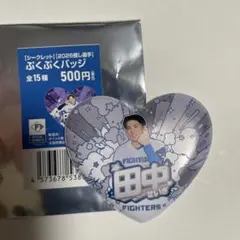 ファイターズ　ぷくぷくバッジ　田中正義のサムネイル
