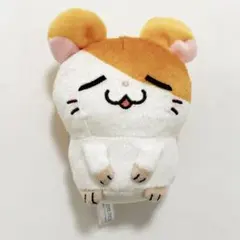 【アミューズメント限定】とっとこハム太郎 おねんねVer マスコット ぬいぐるみのサムネイル