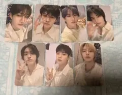 スキズ Stray Kids ファンクラブ FC 更新 継続 特典 7枚 カード